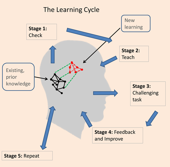 learning-cycle-s-2015
